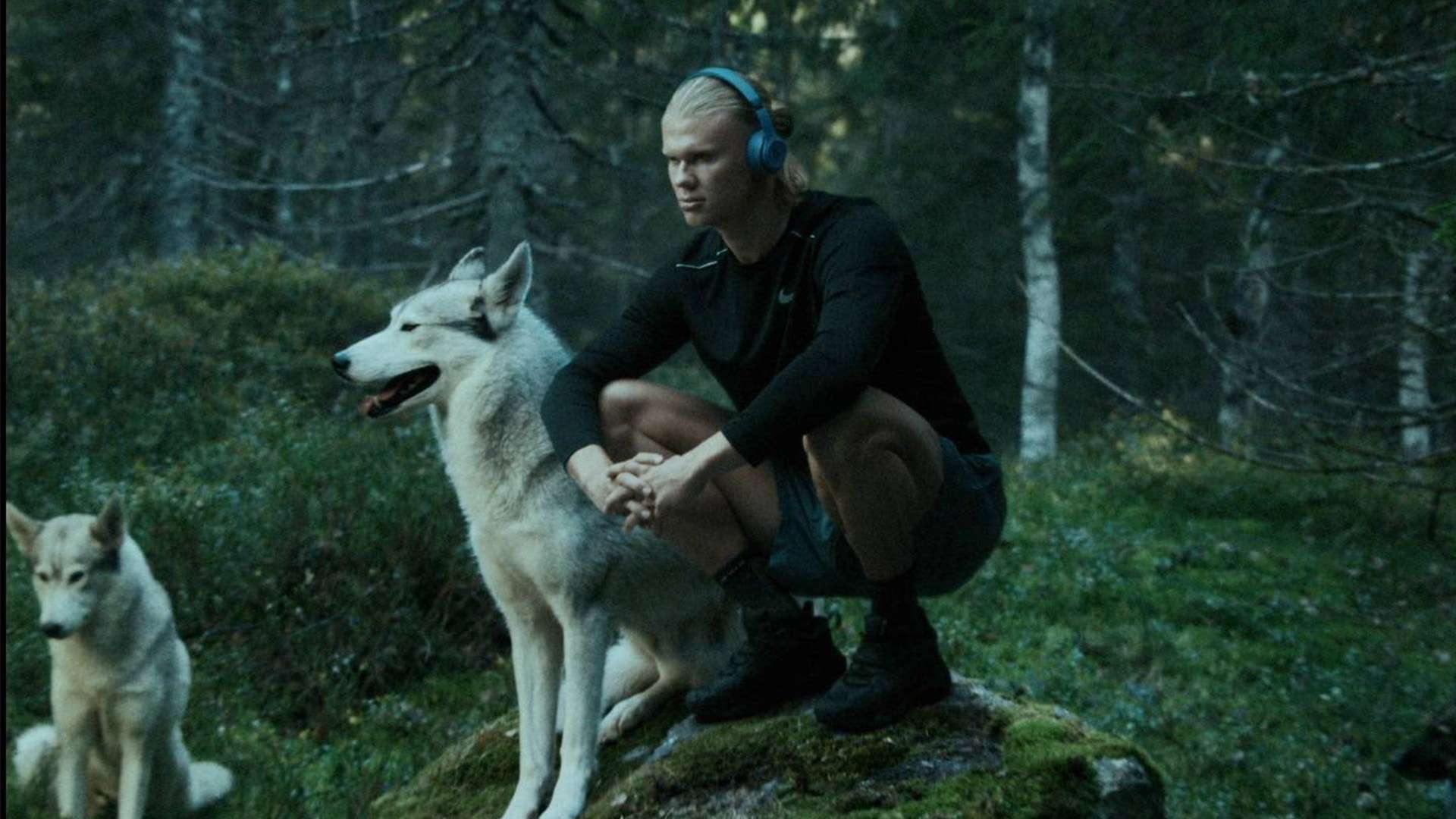 停滞现象 停滞现象